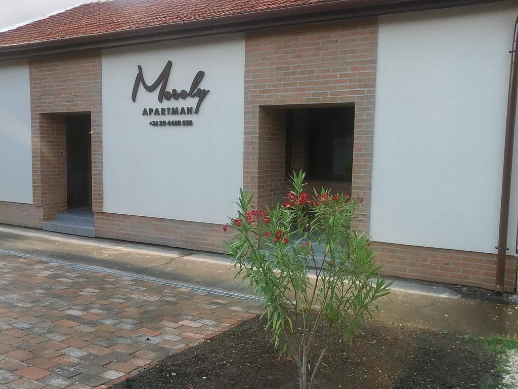 Mosoly Deluxe Apartman غيولا المظهر الخارجي الصورة